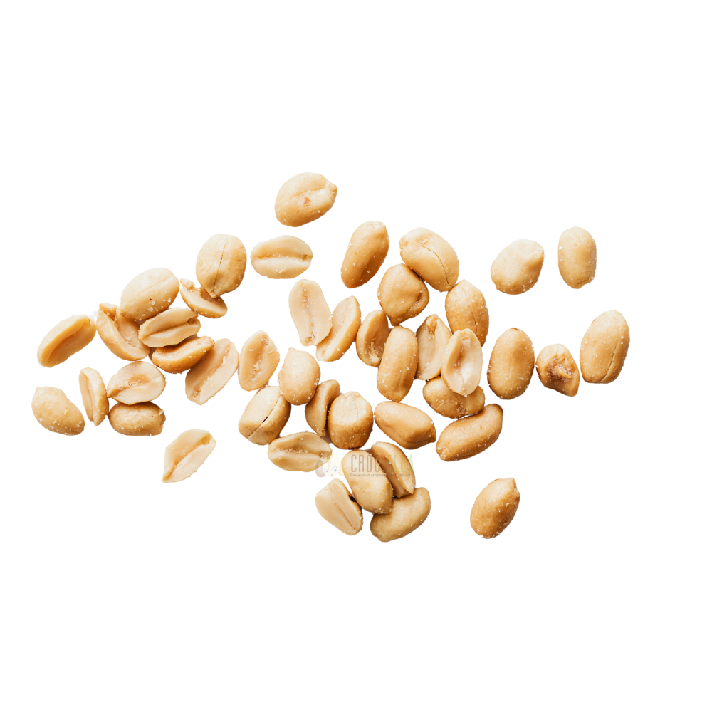 Grossiste importateur d'arachides et de cacahuète crues Bordeaux (33) Gironde