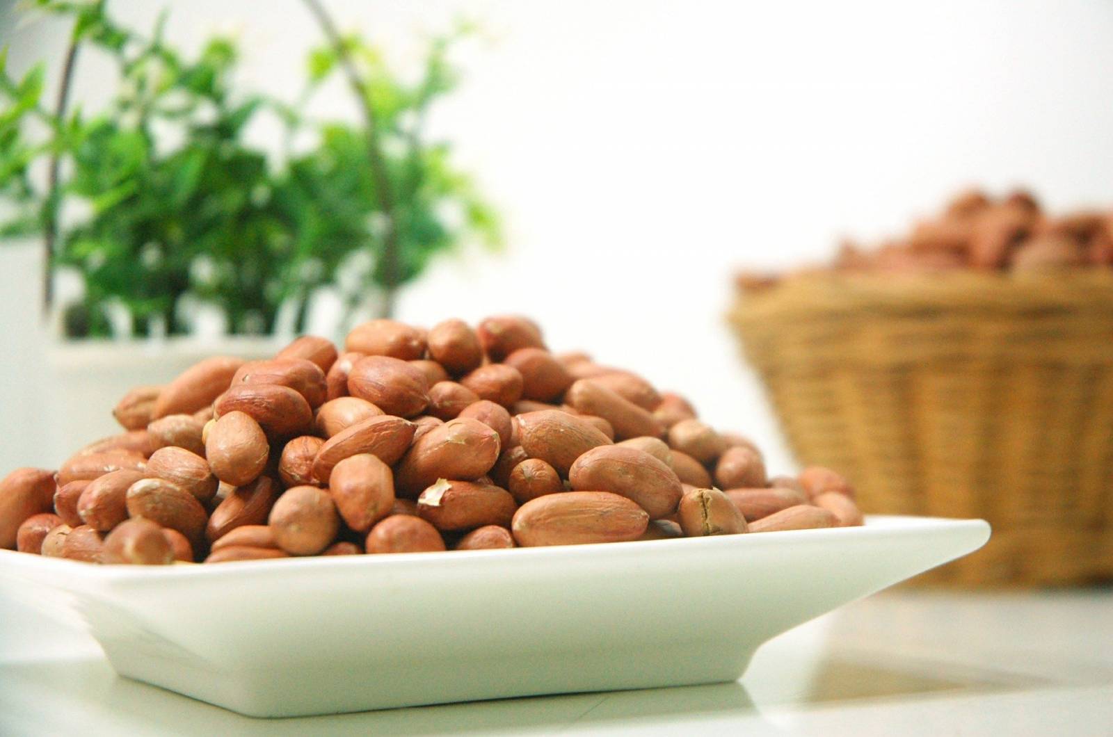 Grossiste importateur d'arachides et de cacahuète crues Toulouse (31) Occitanie