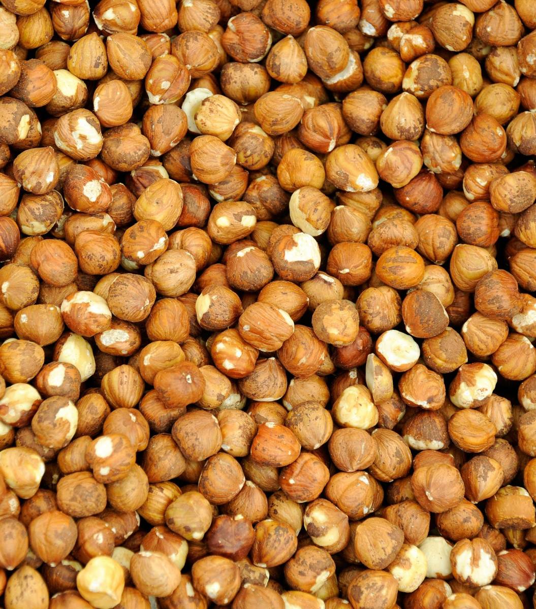 Noisettes décortiquées crues CROC'ELLA pour distributeur, grossiste, primeur en France
