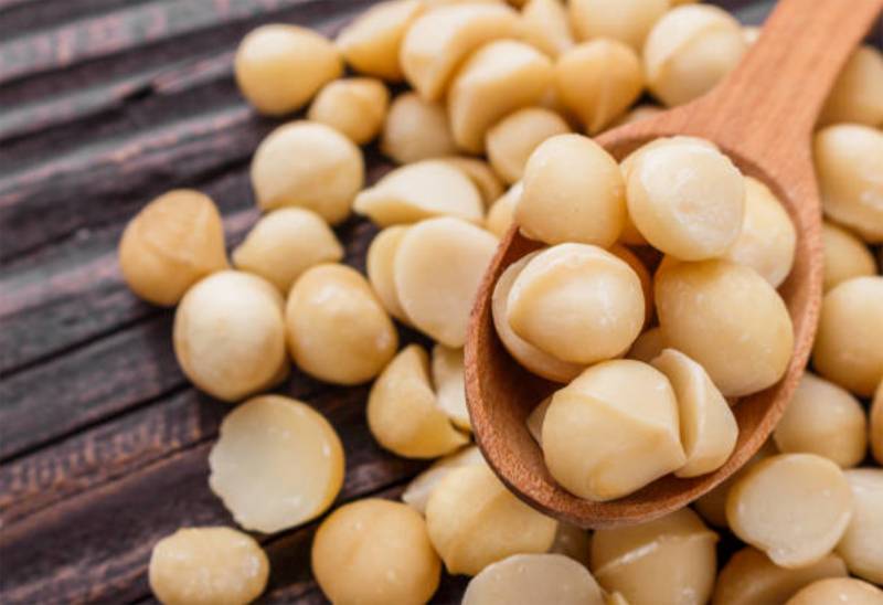 Noix de macadamia décortiquée CROC'ELLA pour distributeur et grossiste en France